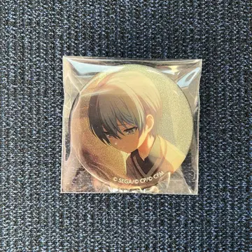 프로세카 아오야기 토야 비바버스 유년기 글리터 캔뱃지