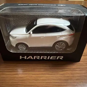 HARRIER 화이트 미니카