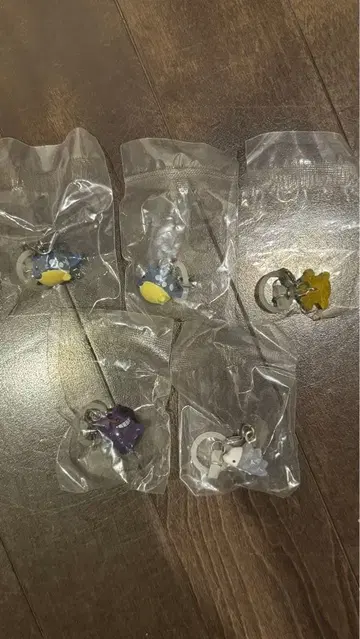 포켓몬 메지루시 액세서리