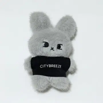 NCT 도영 CITYBREEZE 키링