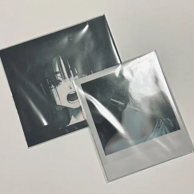 탈덕 | 에이스테 에일리언 스테이지 수아 앨범 폴라 일괄