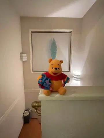 푸우 봉제 인형