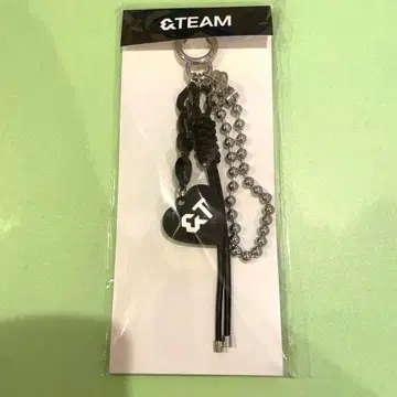 &TEAM 팝업 굿즈 키링 OFFICIAL LOGO