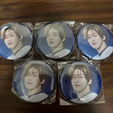 TWS 지훈 캡슐 토이