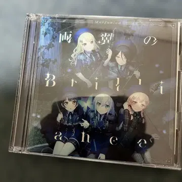 양 날개의 Brilliance