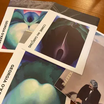 조지아 오키프 꼼 데 가르송 룩북