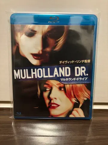 말홀랜드 드라이브