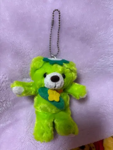 고토치 베어 나가노 한정판 카미코치 갓파 베어