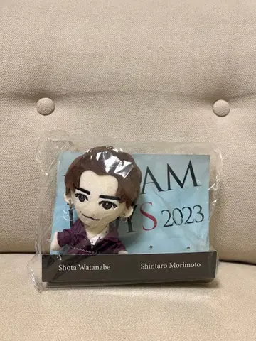 와타나베 쇼타 드리보 누이