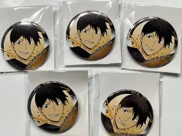 하이큐 유스 의사 유스 합숙 페어 캔뱃지 카게야마 토비오