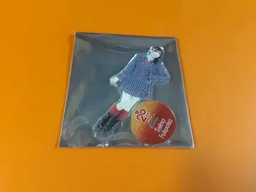 후쿠오카 세이나 AKB48 SPECIAL 복권 아크릴 스탠드 일본 무도관