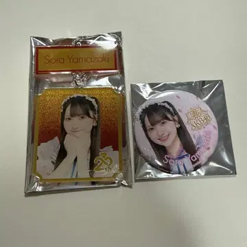 AKB48 2단 아크릴 키링 캔뱃지 세트