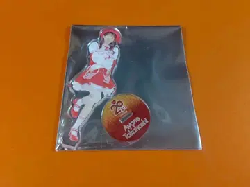 다카하시 아야네 AKB48 SPECIAL 복권 아크릴 스탠드 일본 무도관