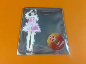 토쿠나가 레이미 AKB48 SPECIAL 복권 아크릴 스탠드 일본 무도관