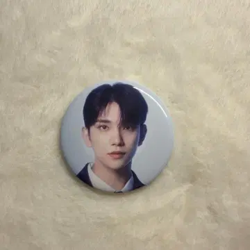 SEVENTEEN DREAM 조슈아 캔뱃지