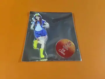 치바 에리 AKB48 SPECIAL 복권 아크릴 스탠드 일본 무도관