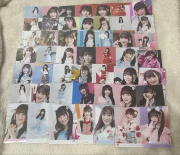 이코라브 오토시마 리사 브로마이드 장미 네이비 49장 세트 묶음 판매