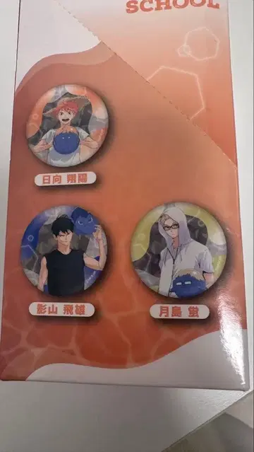 하이큐 캔뱃지 비치발리볼