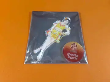 다구치 마나카 AKB48 SPECIAL 복권 아크릴 스탠드 일본 무도관