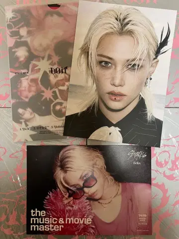 스키즈 Do It 사진 보드 플라이어 필릭스