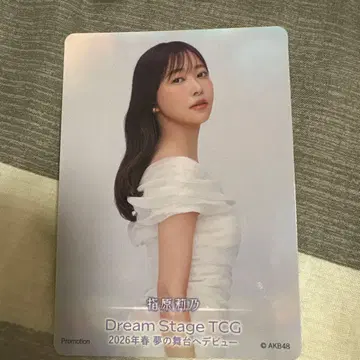 AKB48 무도관 입장 혜택 사시하라 리노 Dream Stage TCG