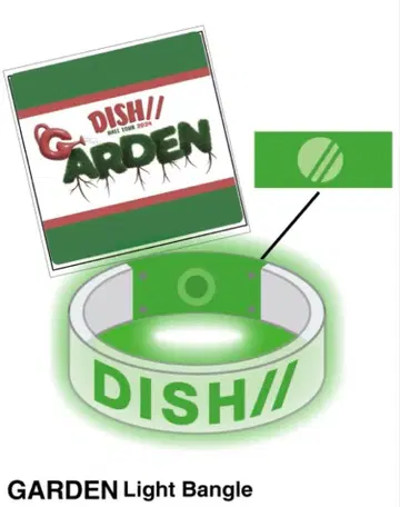 DISH// GARDEN & 군청 비행 라이트밴드