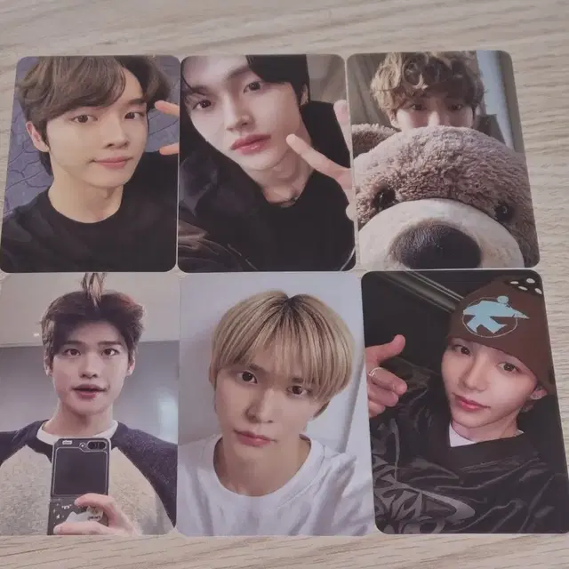 라이즈 앨범 포카