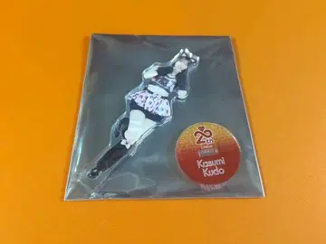 쿠도 카스미 AKB48 SPECIAL 복권 아크릴 스탠드 일본 무도관