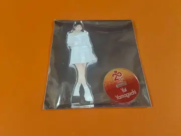 야마구치 유아 AKB48 SPECIAL 복권 아크릴 스탠드 일본 무도관