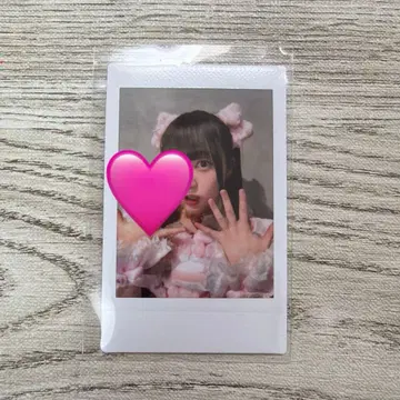 이기가리 도호쿠산 타치바나 카렌 폴라로이드