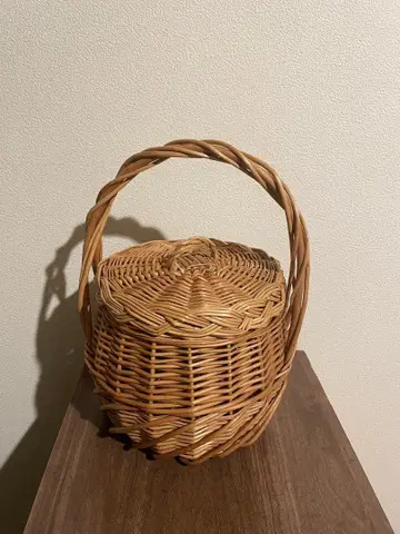 킷죠지 menui 아라로그 제인 버킨 카고백