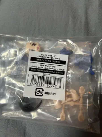 링크 트래블러스 ~ 대해원 대결전 블랙 헤어 아이돌 해적