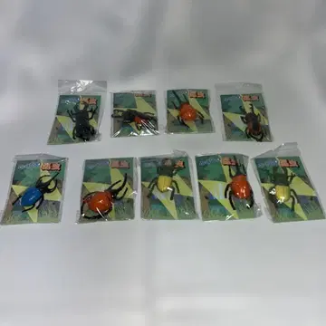 부풀어 오르는 곤충 9개