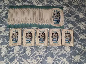 제5인격 IdentityV 아트 컬렉션 소설가