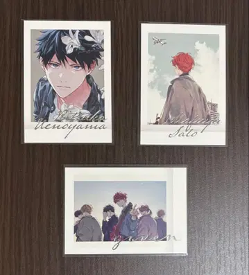 기븐전 파샤코레 PREMIUM 컬러 3장