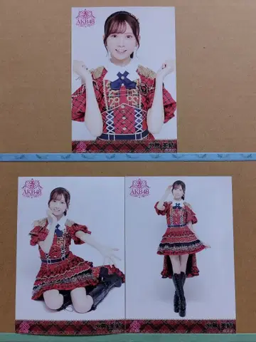 AKB48 미즈시마 미유 20th 일본 무도관 랜덤 브로마이드 컴플리트