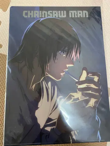 하야카와 아키 체인소 맨 클리어 파일