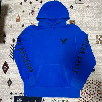 [ 레어템 미국에서 구매 ] AMERICAN EAGLE 트레이닝복 후드티