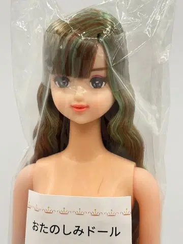 나오미 리카짱 캐슬 오타노시미 인형 브라운 그린 계열 웨이브 제니 프렌드