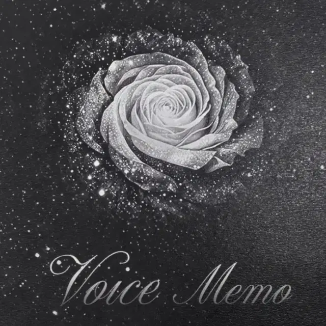 애쉬아일랜드 콘서트 한정 앨범