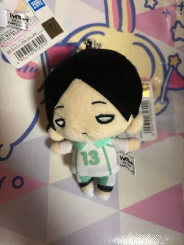 하이큐 니토탄 쿠니미 아키라