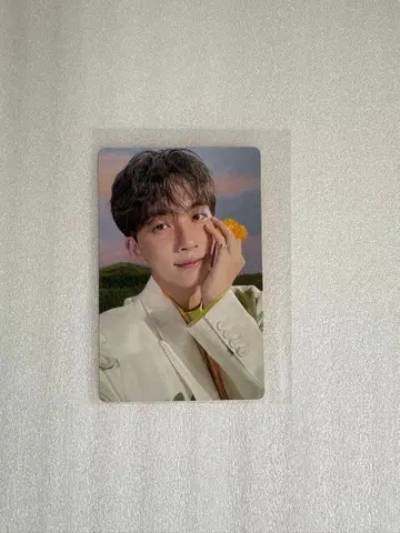 SEVENTEEN SECTOR 17 정한 트레이딩 카드