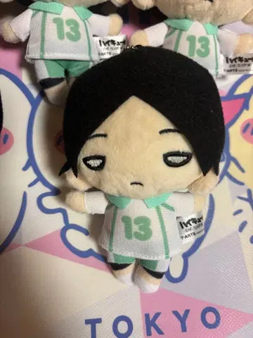 하이큐 니토탄 쿠니미 아키라