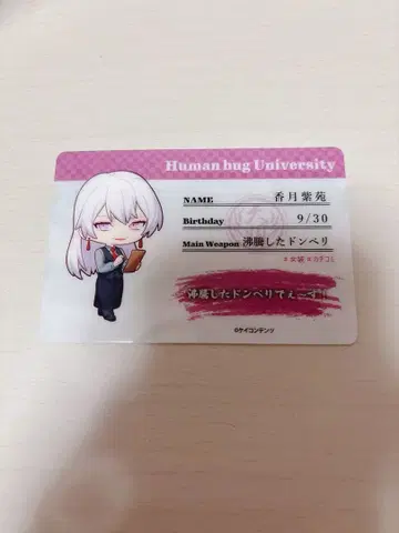 [ 휴먼버그 대학 ] 카즈키 시온