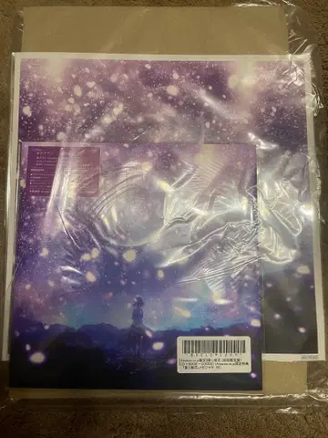 록데나시 사랑에 핀 꽃 최초 한정 메가 재킷 + 기타 피크