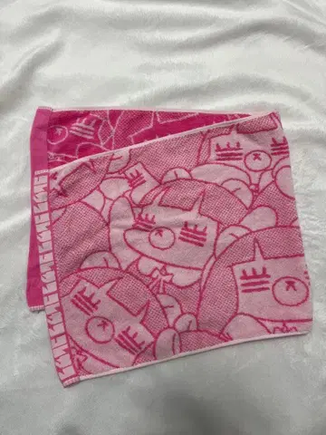 무귯토레코짱 타월 코레사와 코레짱 라이브