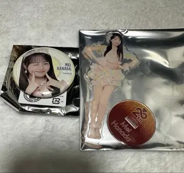 AKB48 하나다 아이 아크릴 스탠드 캔뱃지