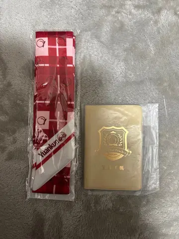 컬러풀 피치 리본 스카프 유안 학생 수첩 카라피치 파라피치 2025