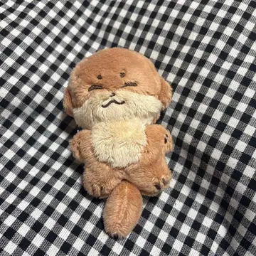 디노 봉제 인형 마스터