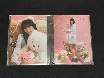 노기box 엔도 사쿠라 모바카레 노멀